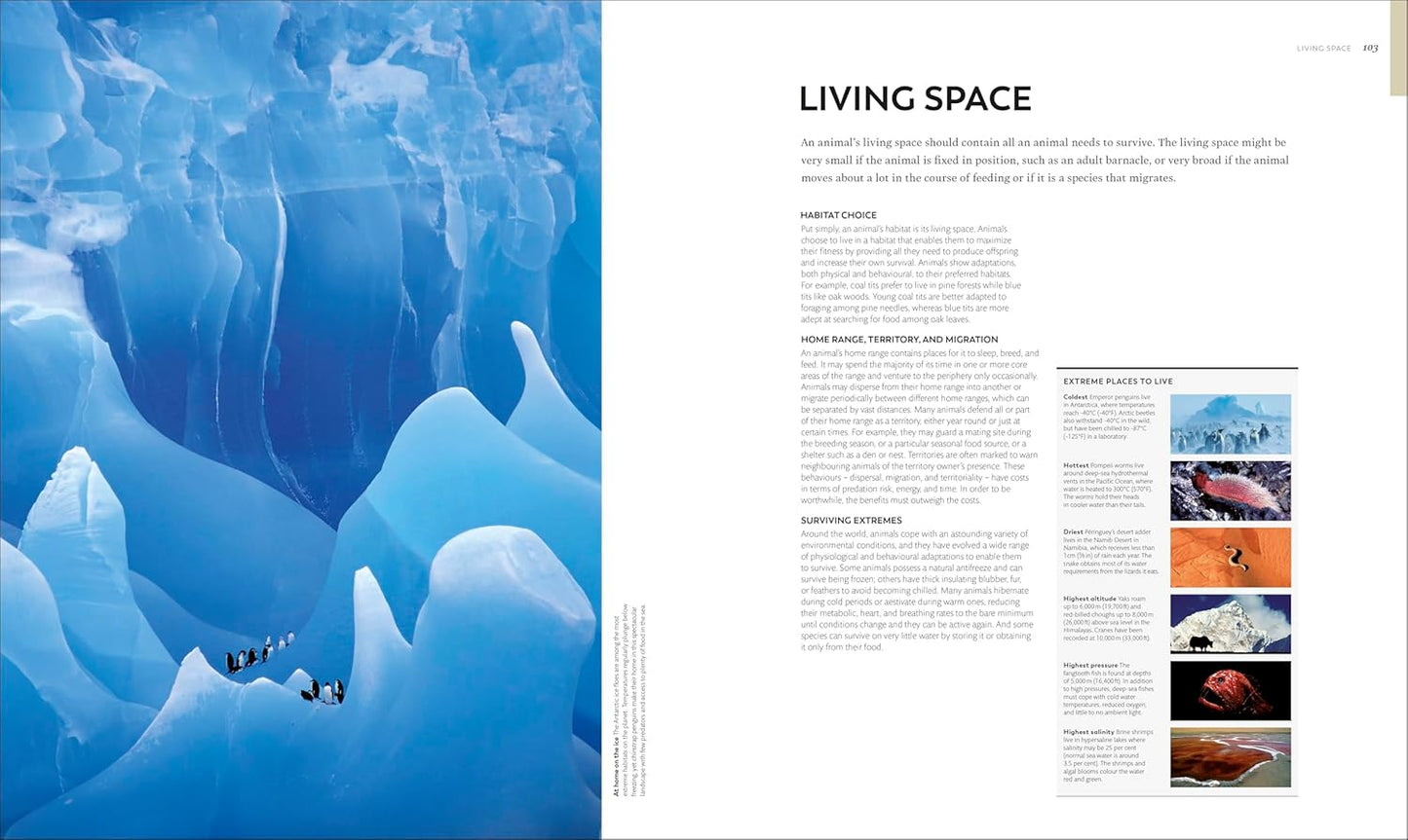 Animal Behaviour: Stories of Instinct, Intelligence and Adaptation - DK Definitive Visual Encyclopedias (Hardback)