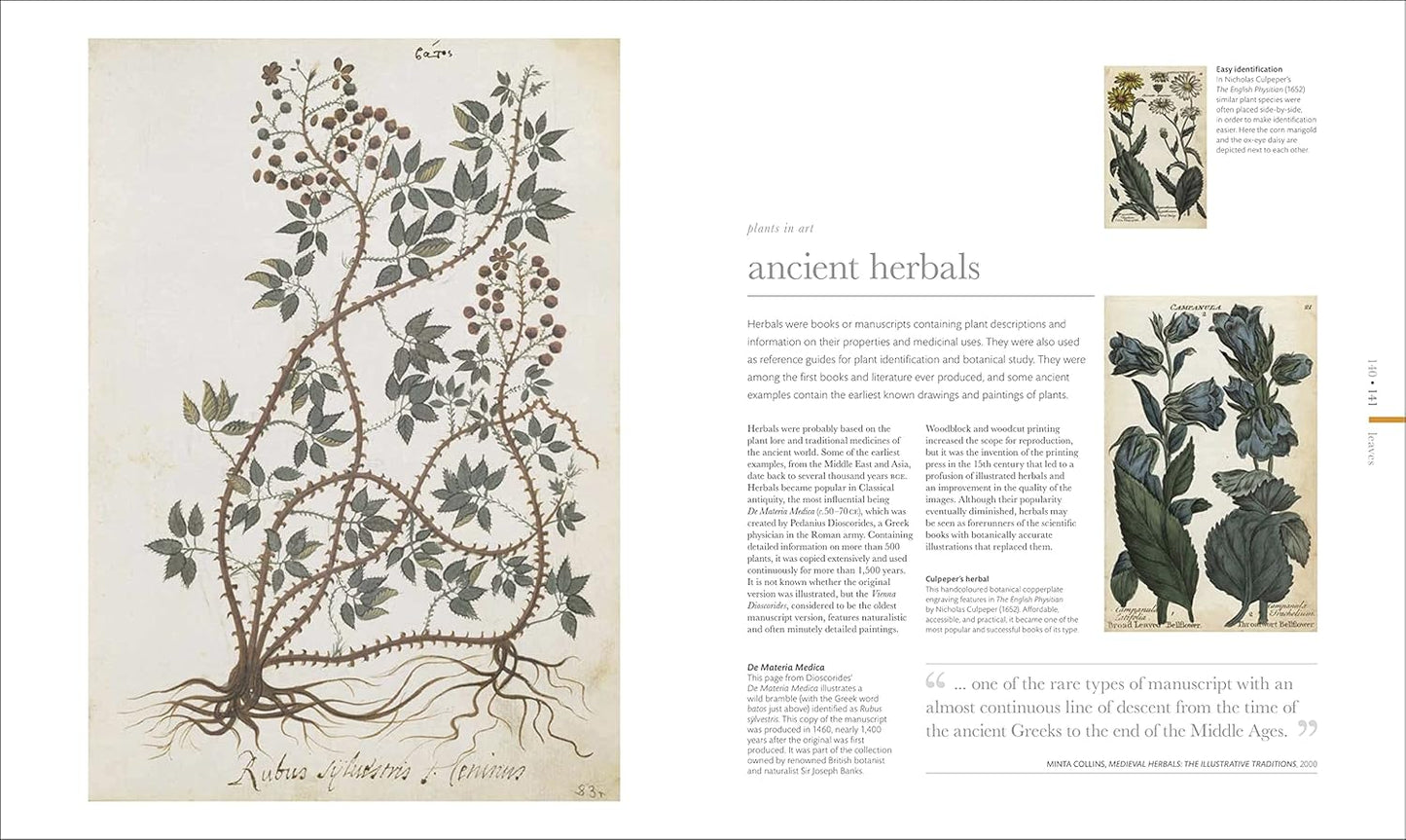 The Science of Plants: Inside their Secret World - DK Secret World Encyclopedias (Hardback)