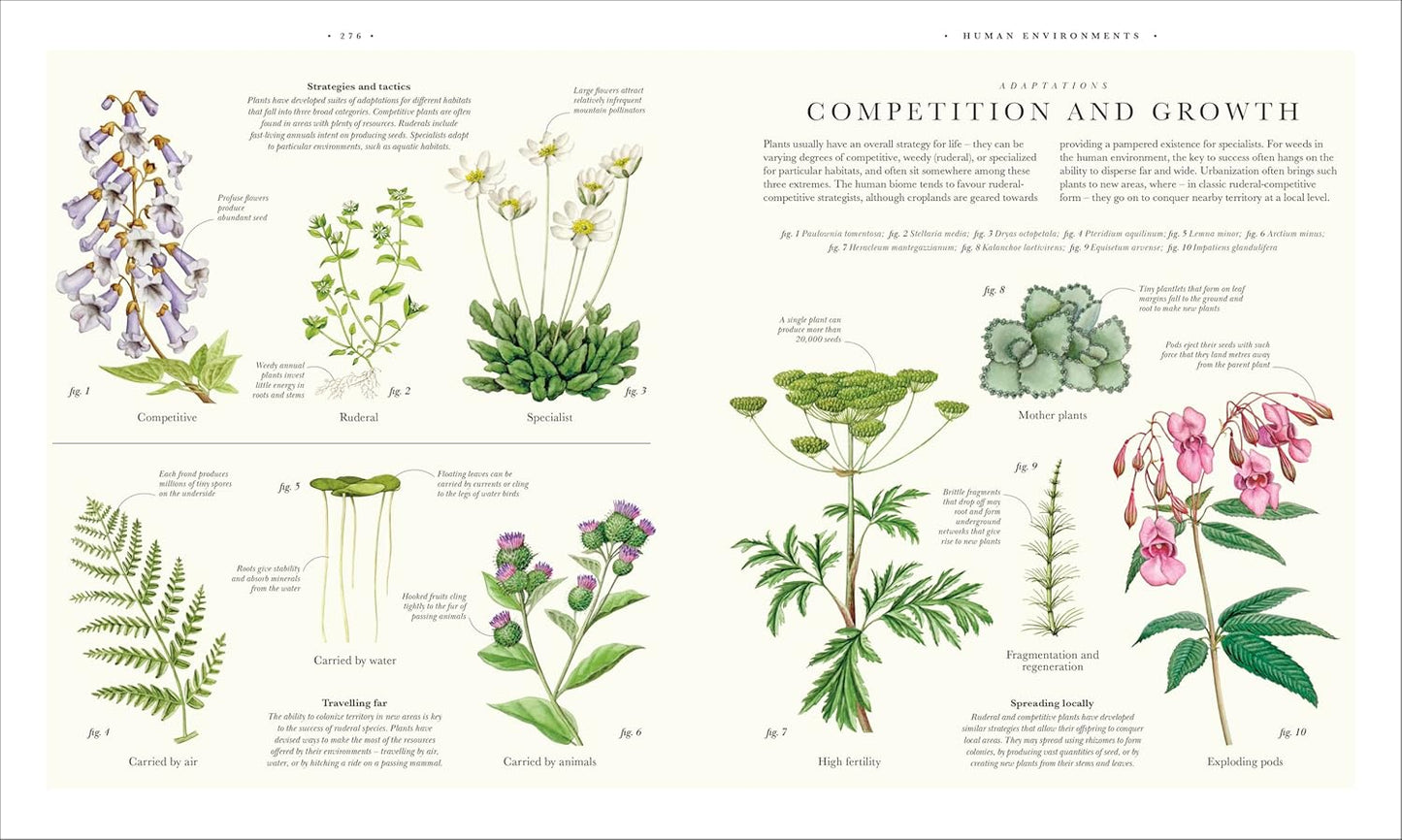 Atlas of Botany: An Exploration of Plants Across Time and Around the World (Hardback)