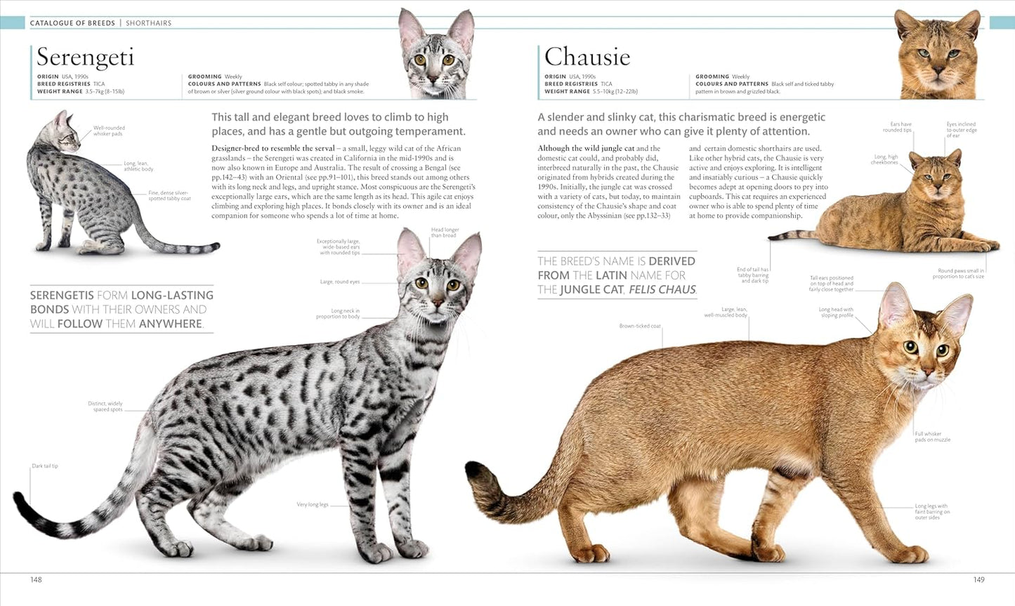 The Cat Encyclopedia: The Definitive Visual Guide - DK Pet Encyclopedias (Hardback)