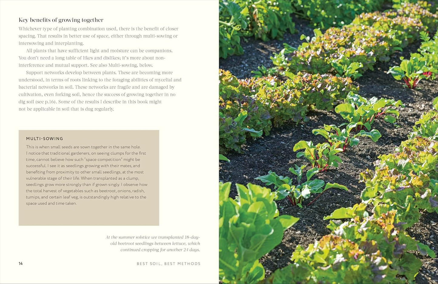Grow Together: 50 Planting Partnerships to Boost Your Harvests (Hardback)