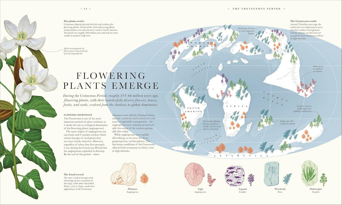 Atlas of Botany: An Exploration of Plants Across Time and Around the World (Hardback)