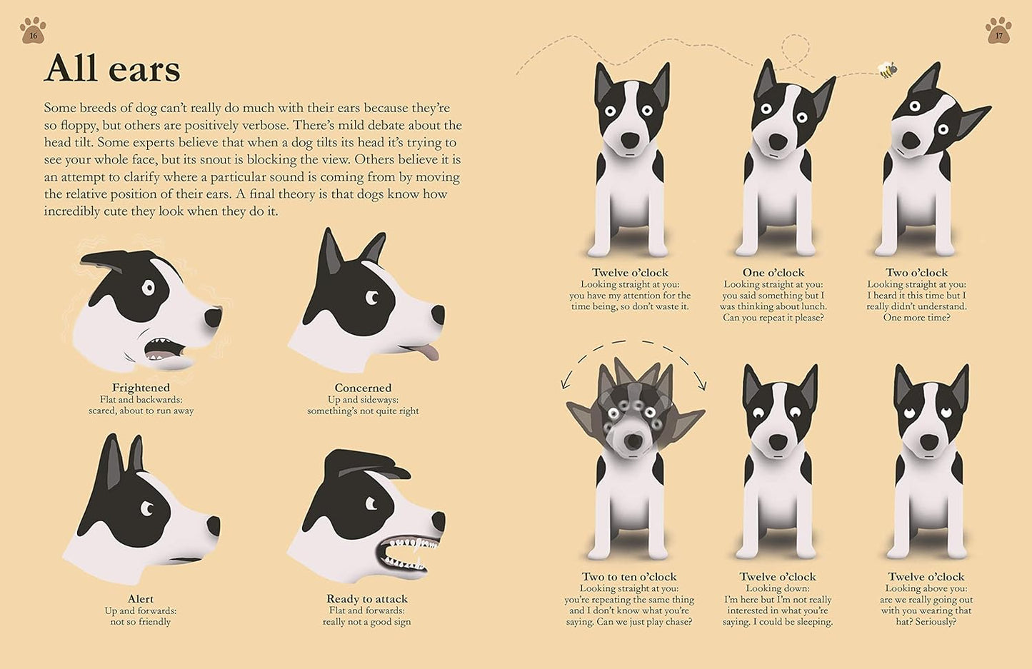 How Dogs Work: A Head-to-Tail Guide to Your Canine - DK Practical Pet Guides (Hardback)
