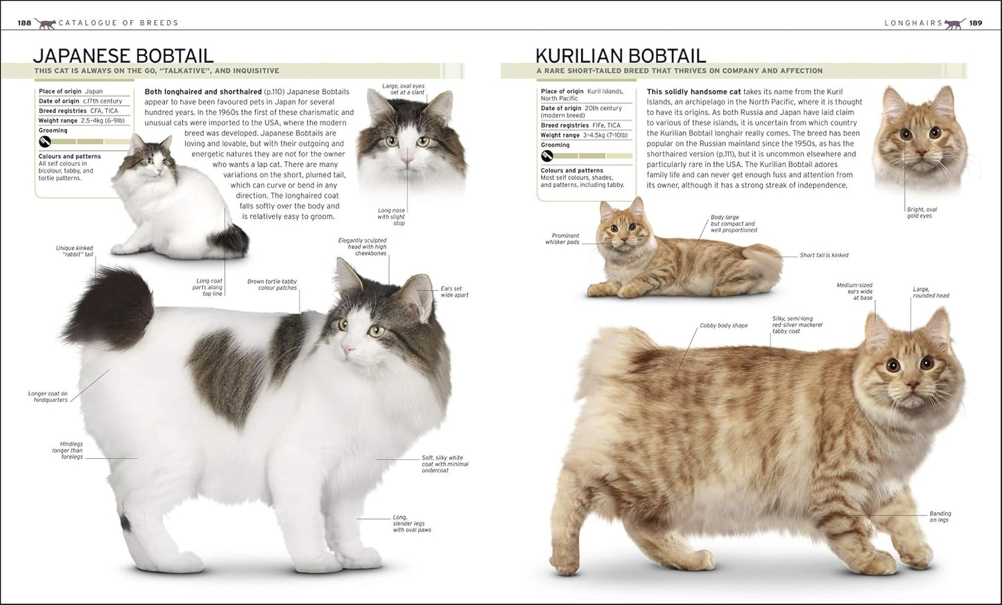The Complete Cat Breed Book: Choose the Perfect Cat for You - DK Pet Breed Guides (Hardback)