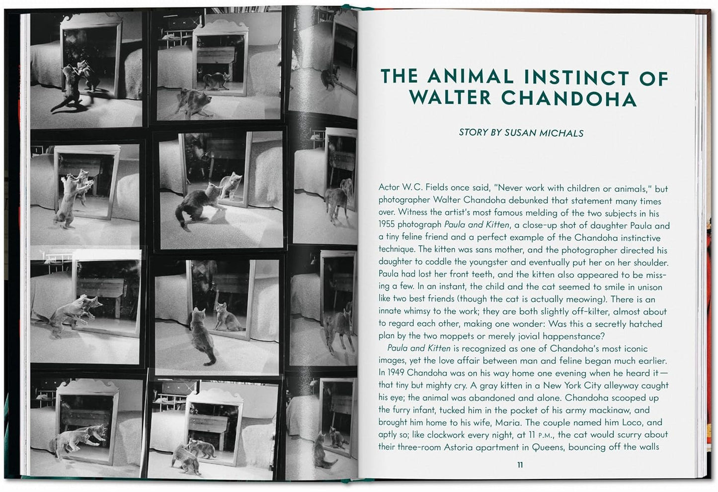 Walter Chandoha. Cats. Photographs 1942–2018 (Hardback)