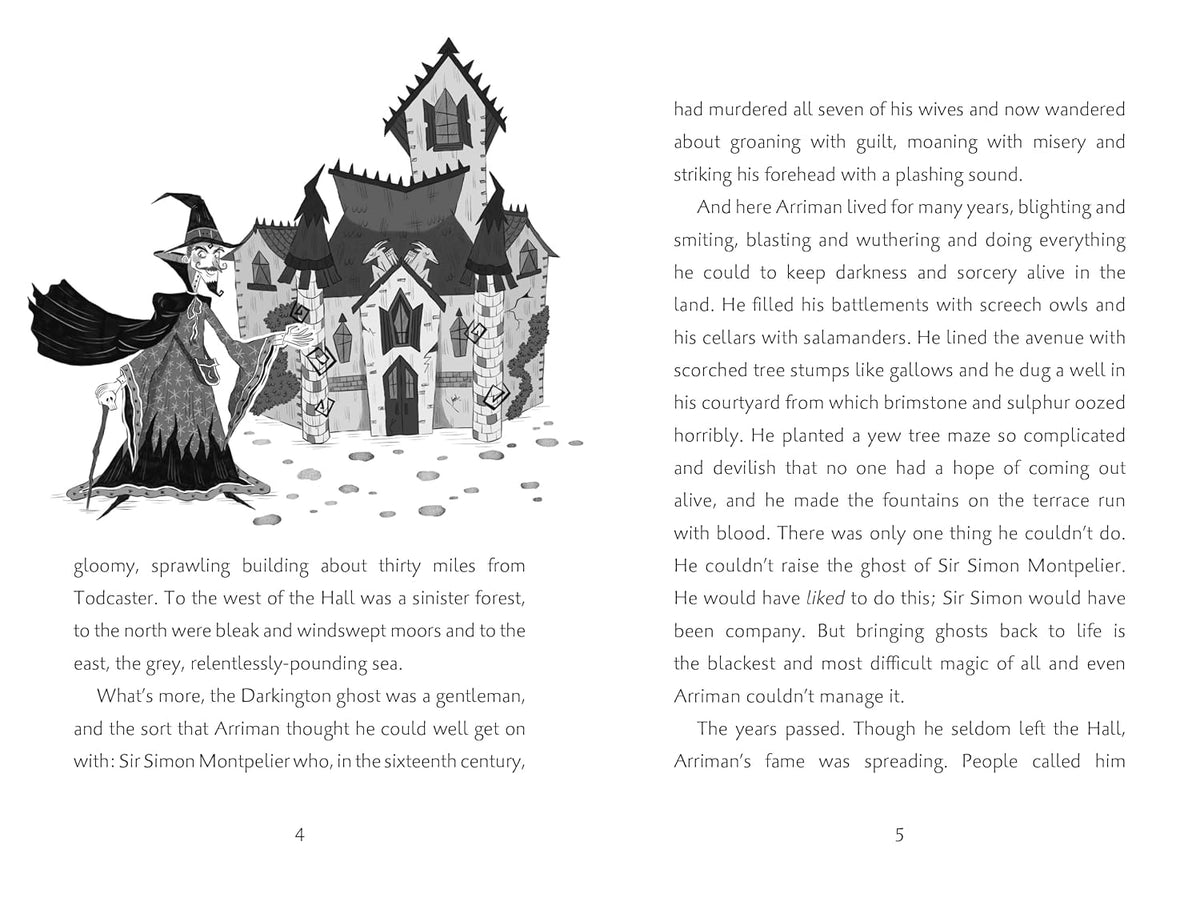 Which Witch? By Eva Ibbotson