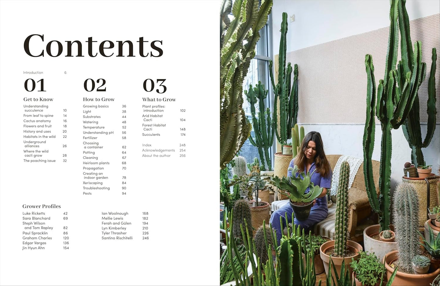 Cacti and Succulents: The Plant Rescuer's On-point Advice to Keep Your Plants Looking Sharp (Hardback)