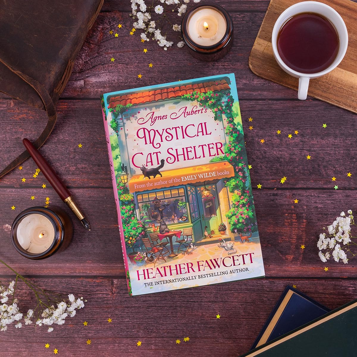 Agnes Aubert's Mystical Cat Shelter By Heather Fawcett (Hardback)