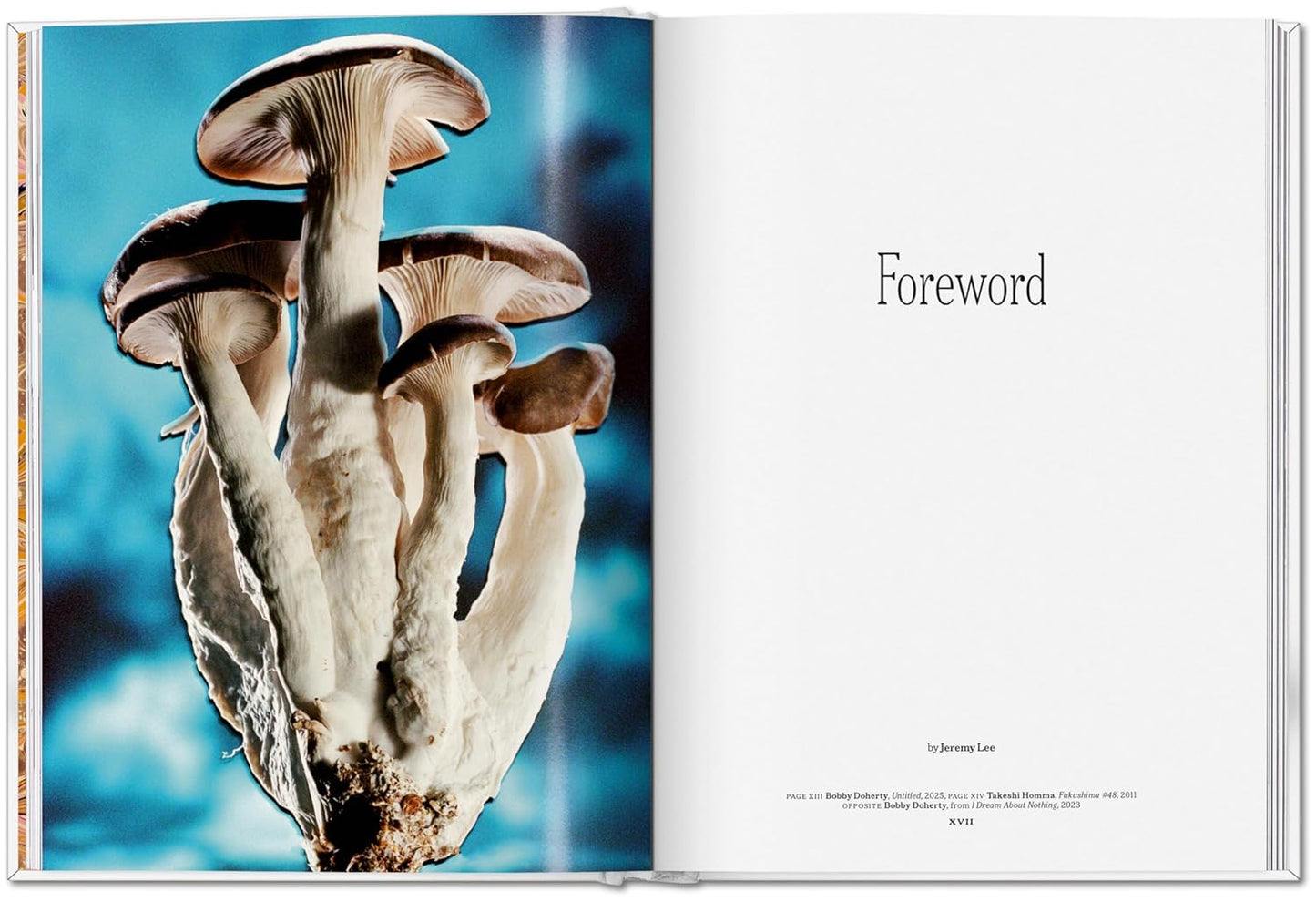 The Gourmand's Mushroom (Hardback)