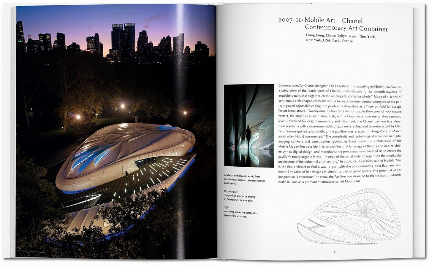 Zaha Hadid - Basic Art (Hardback)