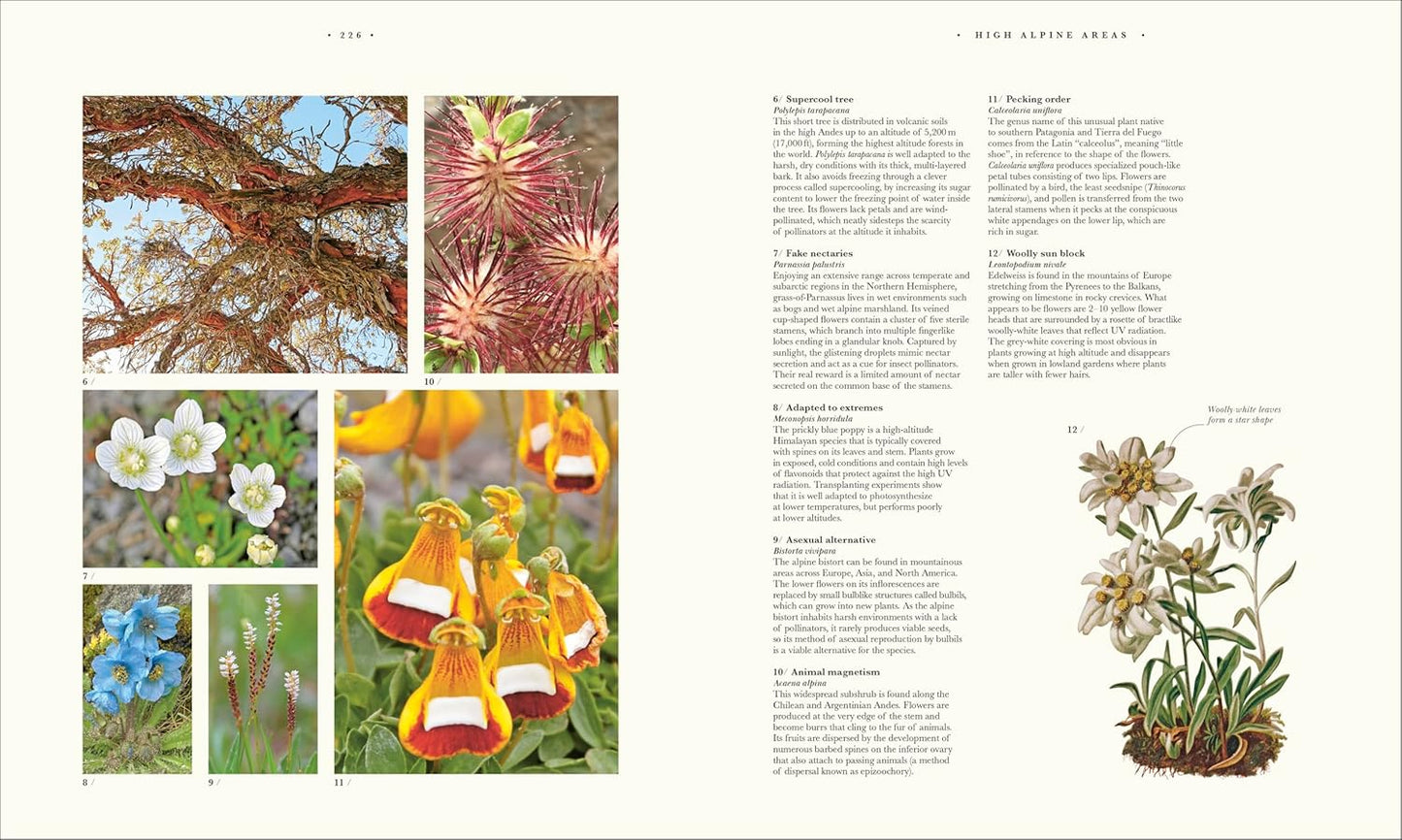 Atlas of Botany: An Exploration of Plants Across Time and Around the World (Hardback)