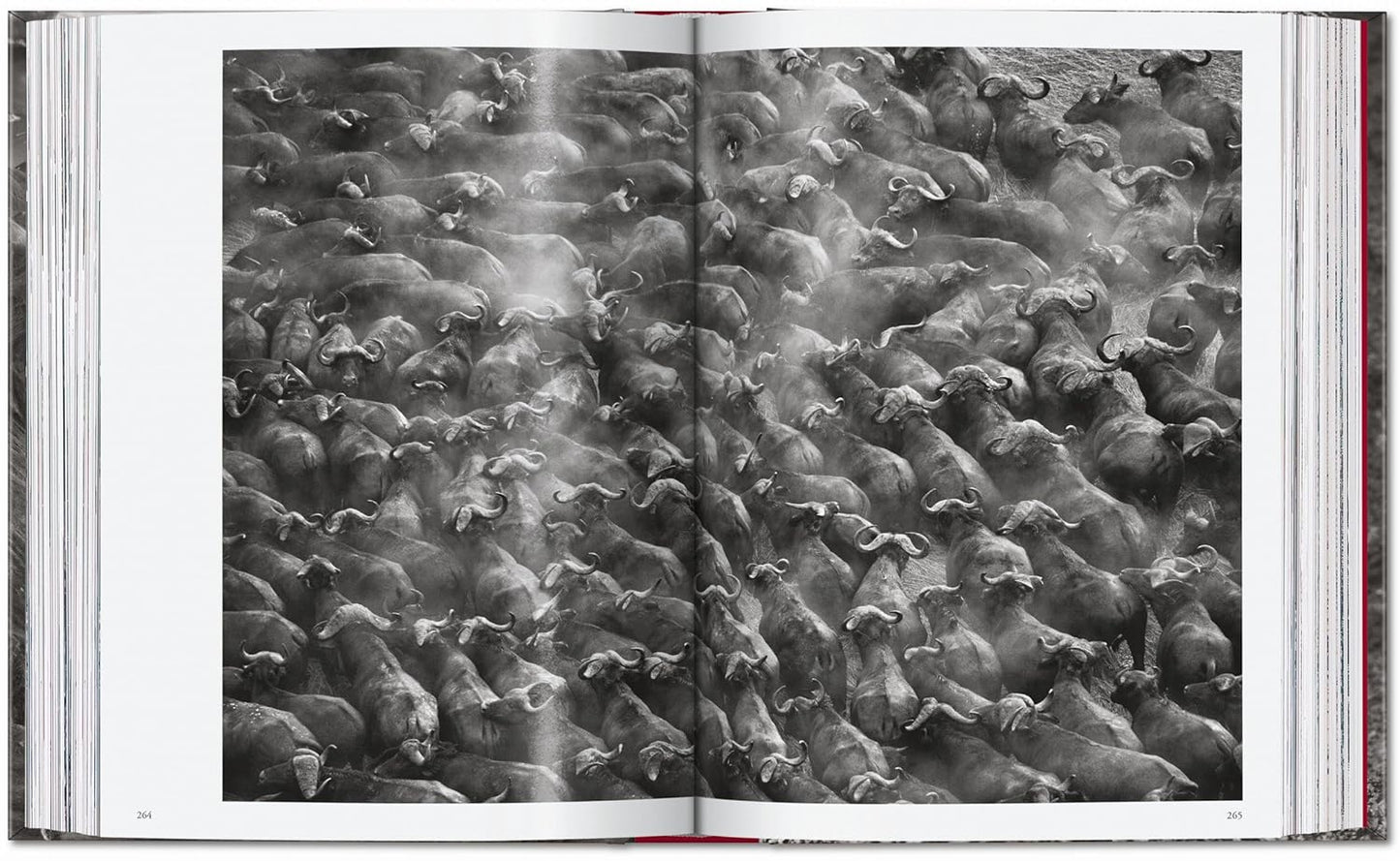 Sebastião Salgado. Genesis. 45th Ed. - 45th Edition (Hardback)