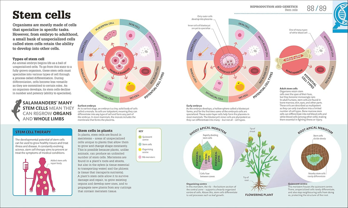 How Biology Works: The Facts Visually Explained - DK How Stuff Works (Hardback)