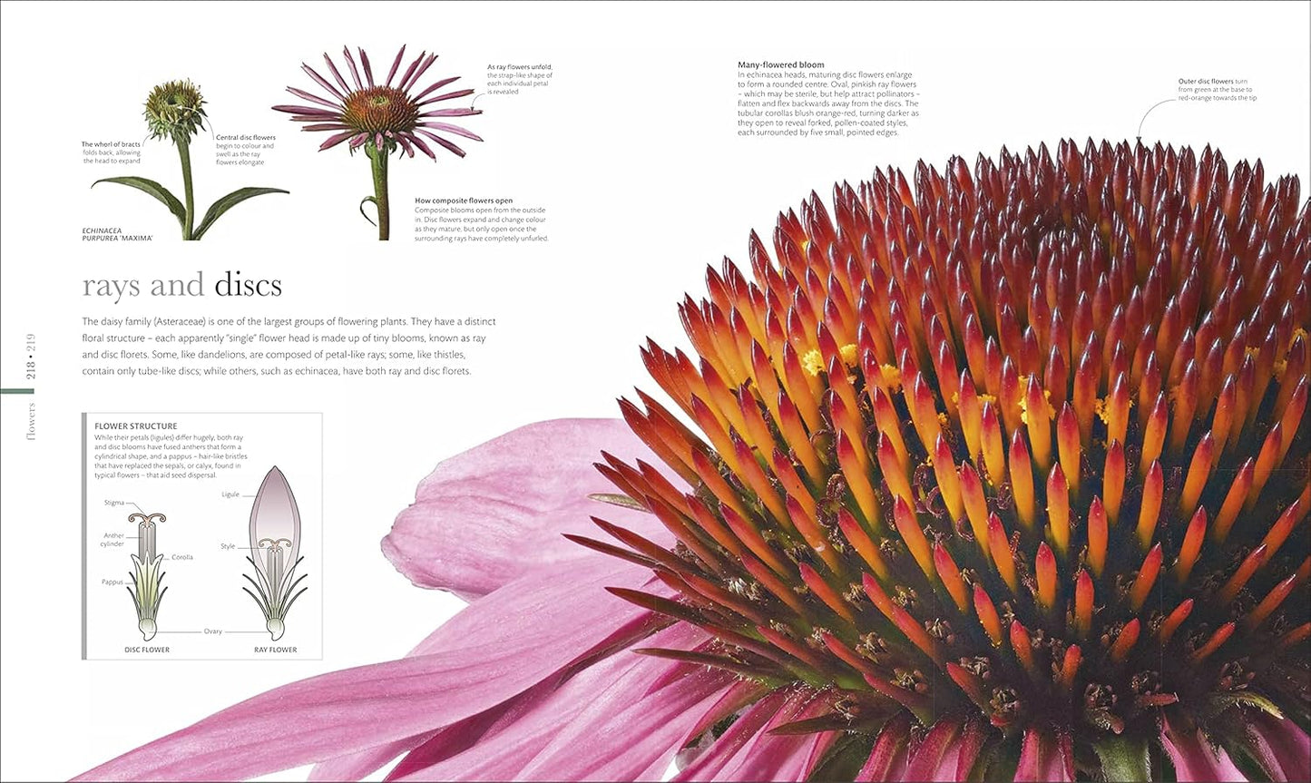 The Science of Plants: Inside their Secret World - DK Secret World Encyclopedias (Hardback)