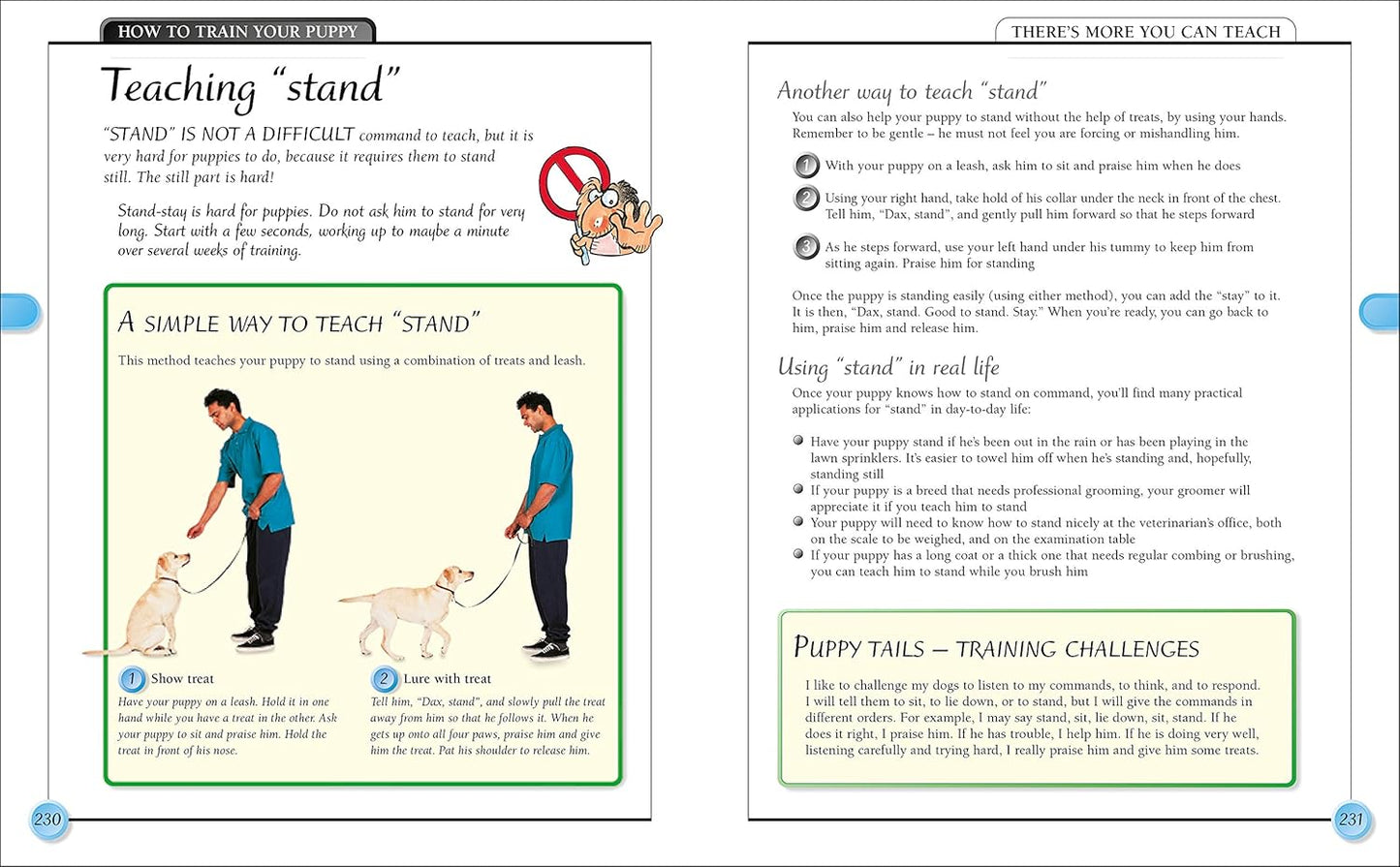 KISS Guide To Raising a Puppy - Keep It Simple Guides (Paperback)