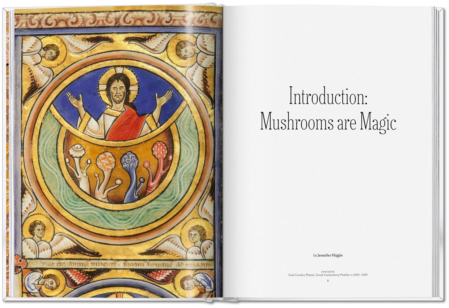 The Gourmand's Mushroom (Hardback)