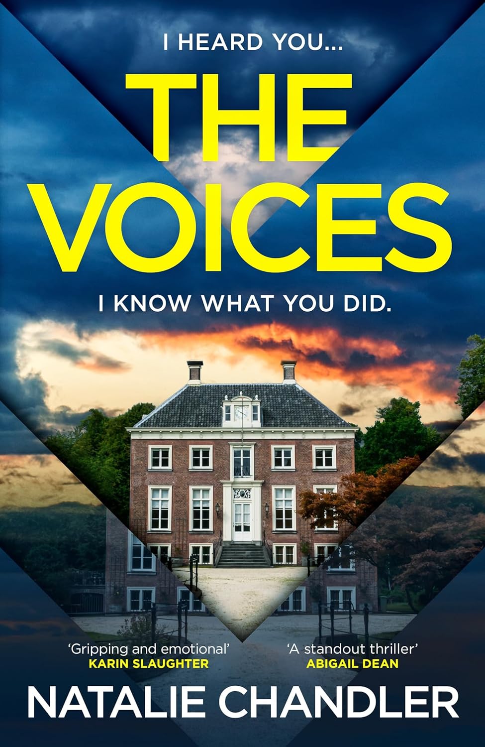 The Voices By Natalie Chandler