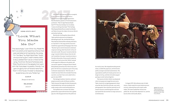 Taylor Swift Chronicles (Hardback)