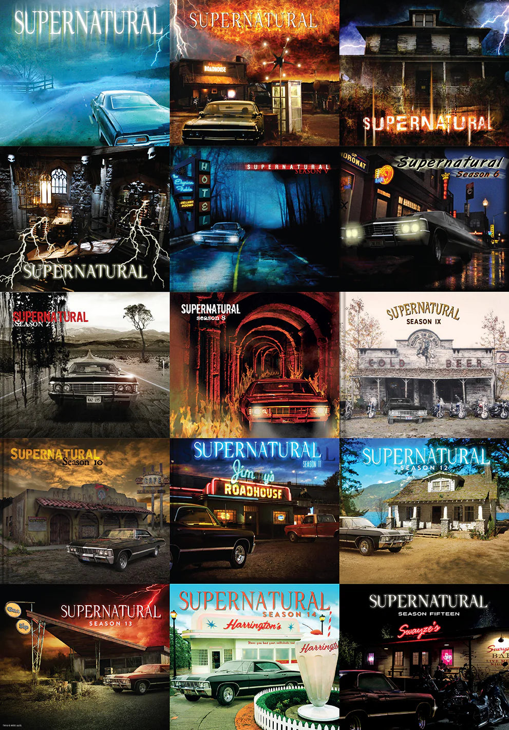 Essential Supernatural Puzzle and Book Set