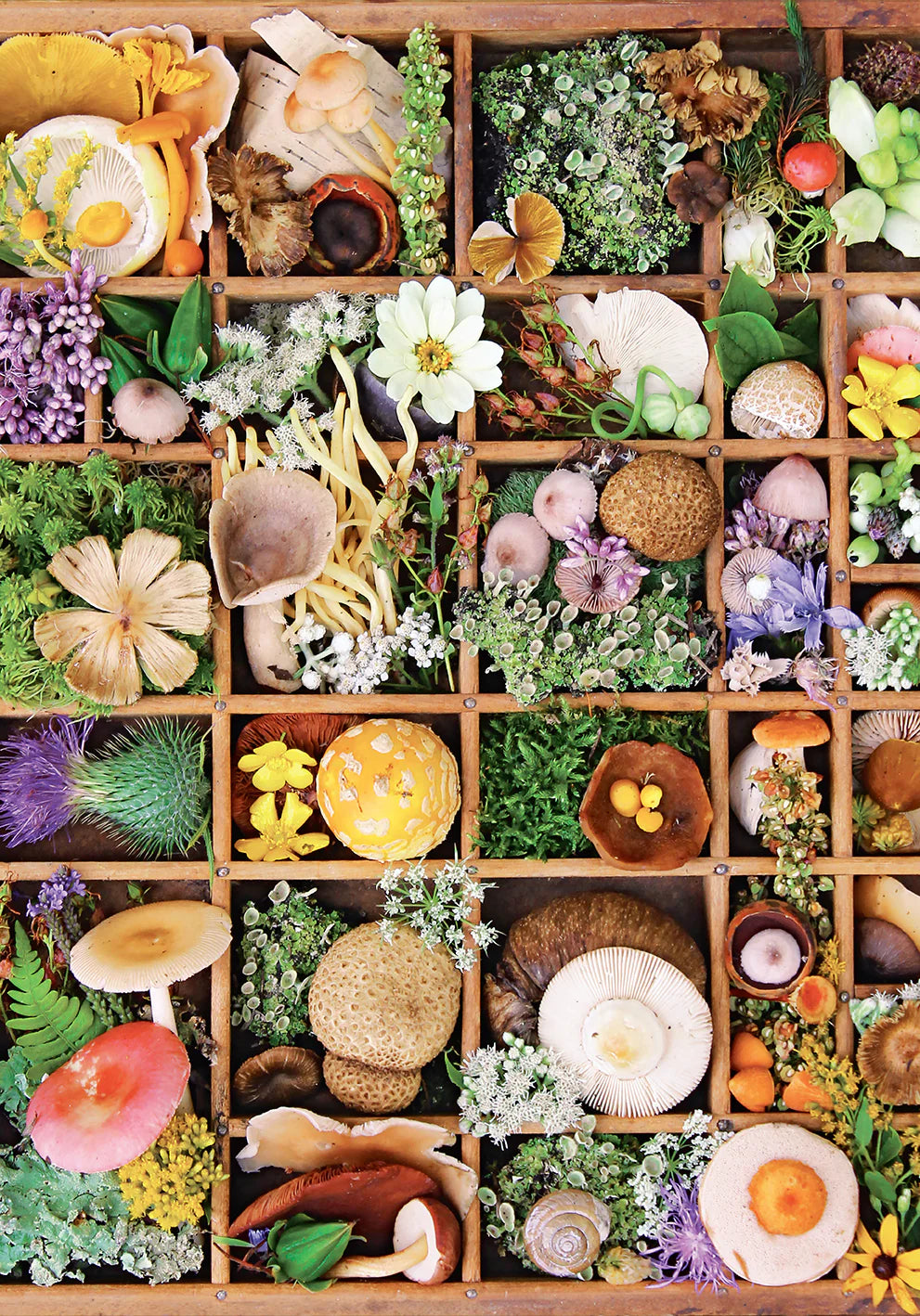 Flowers and Fungi Jigsaw Puzzle