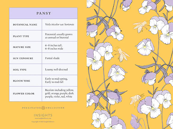 Honeybee Card Portfolio Set (Set of 20 Cards)