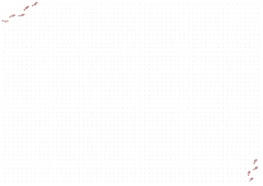 Harry Potter: Welcome to Hogwarts Planner Notebook Collection (Set of 3)