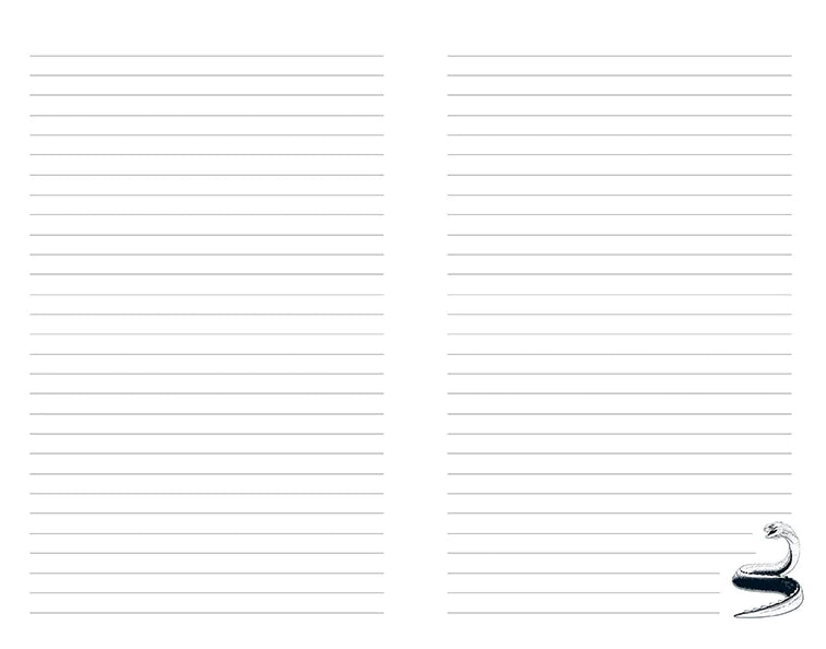 Harry Potter: Chamber of Secrets Hardcover Journal