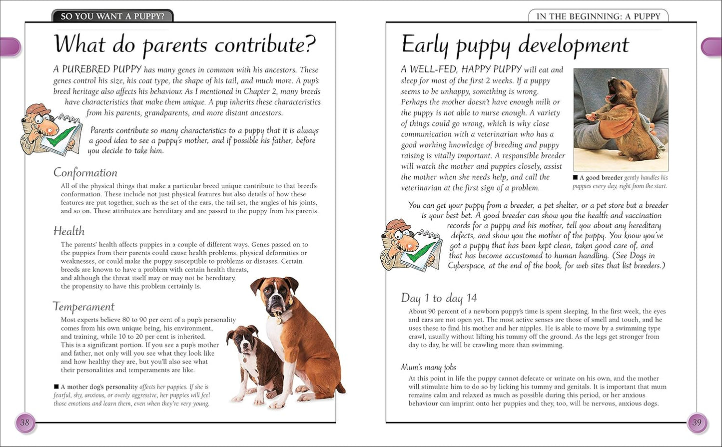 KISS Guide To Raising a Puppy - Keep It Simple Guides (Paperback)