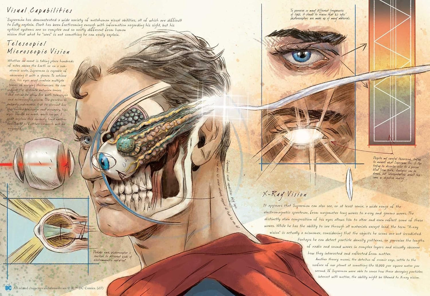 DC Comics: Anatomy of a Metahuman (Hardback)