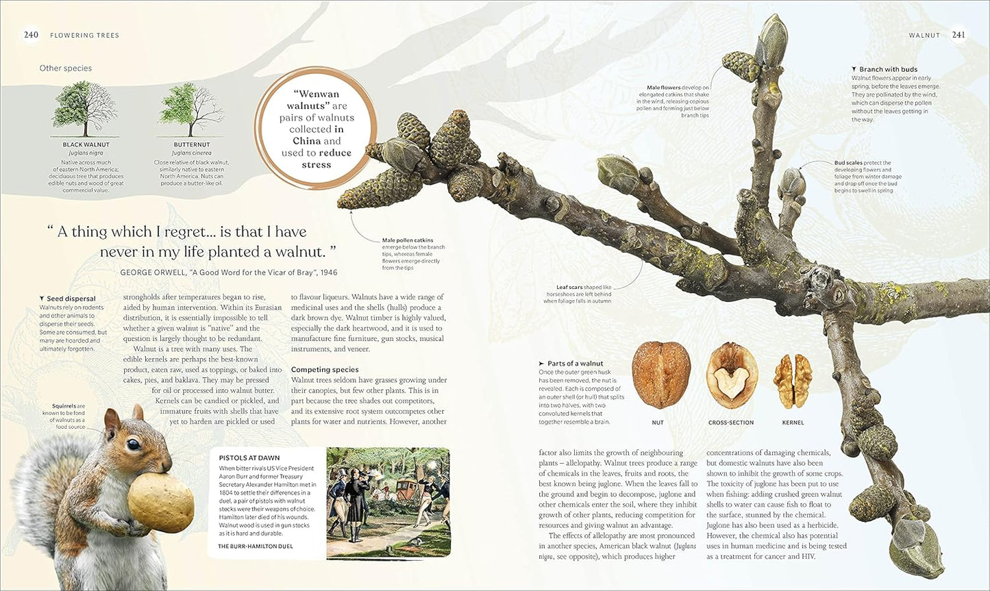 The Tree Book: The Stories, Science, and History of Trees (Hardback)