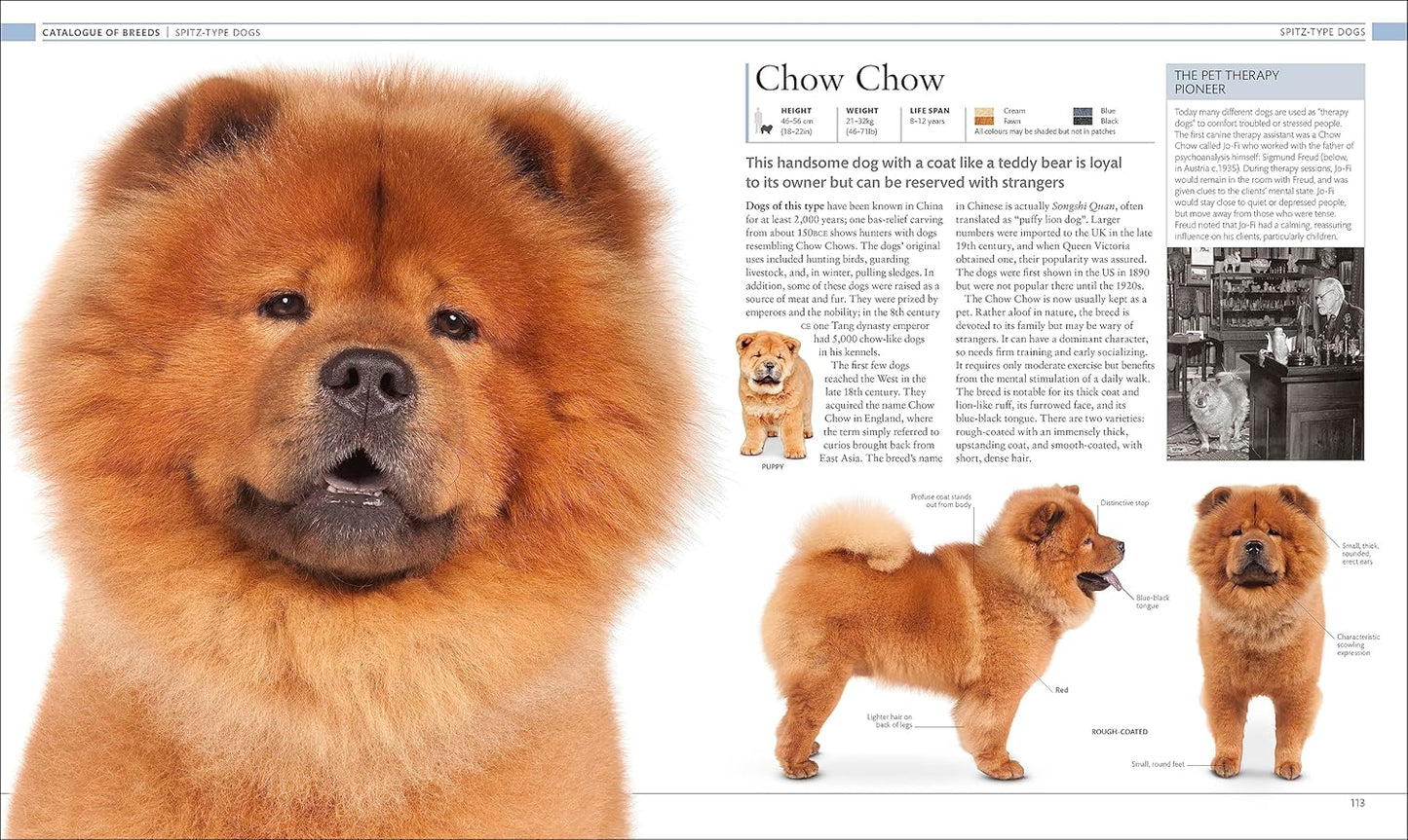 The Dog Encyclopedia: The Definitive Visual Guide - DK Pet Encyclopedias (Hardback)