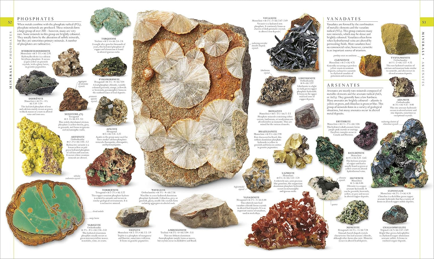 The Natural History Book: The Ultimate Visual Guide to Everything on Earth - DK Definitive Visual Encyclopedias (Hardback)