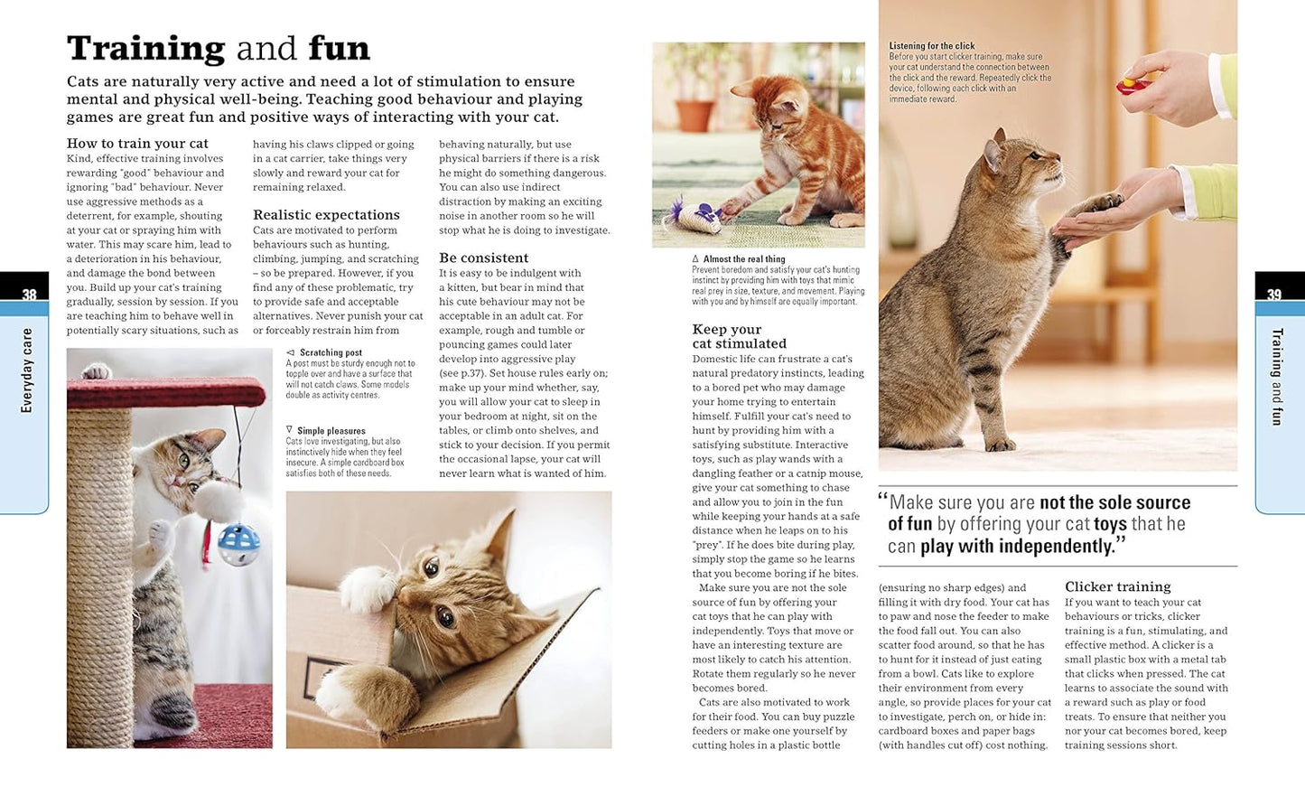 Complete Cat Care: How to Keep Your Cat Healthy and Happy - DK Practical Pet Guides (Paperback)