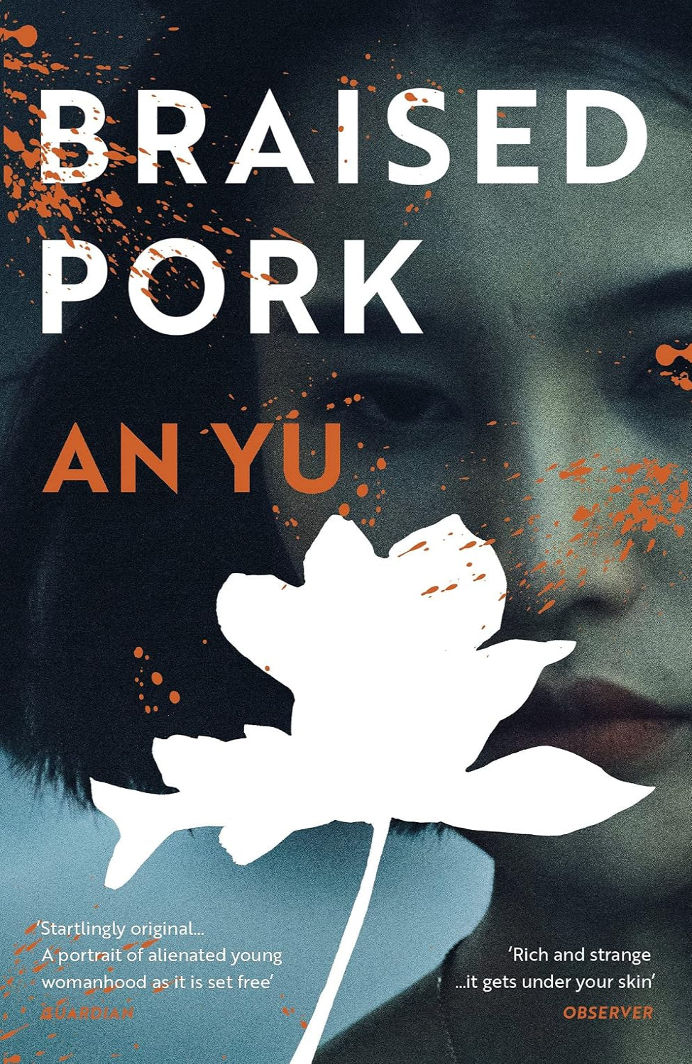 Braised Pork By An Yu