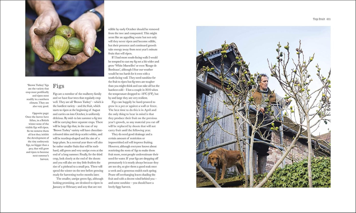 The Complete Gardener: A Practical, Imaginative Guide to Every Aspect of Gardening (Hardback)