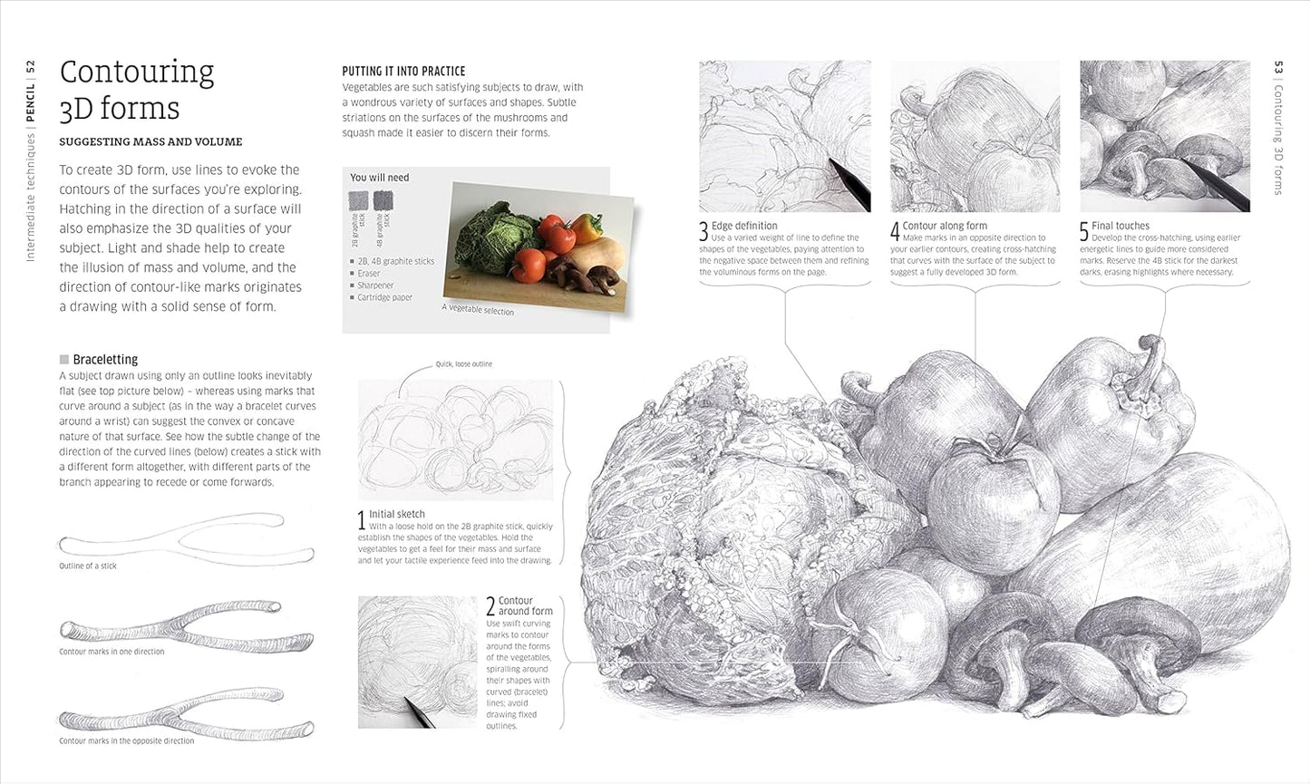 Artist's Drawing Techniques: Discover How to Draw Landscapes, People, Still Lifes and More, in Pencil, Charcoal, Pen and Pastel (Hardback)