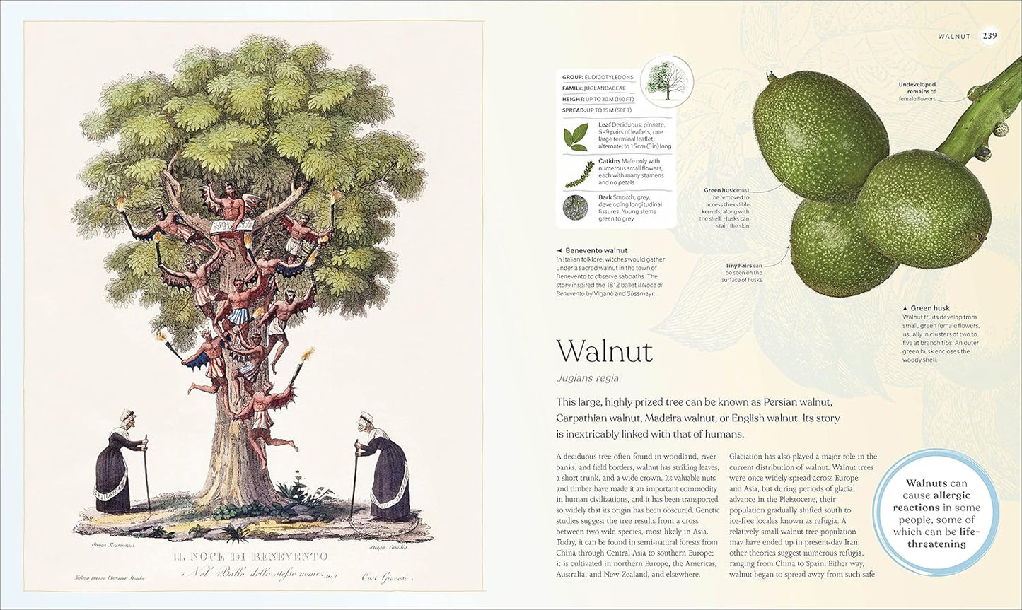The Tree Book: The Stories, Science, and History of Trees (Hardback)