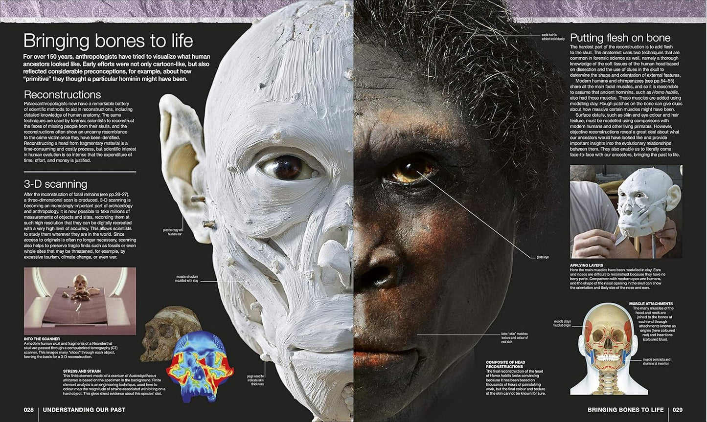 Evolution: The Human Story (Hardback)