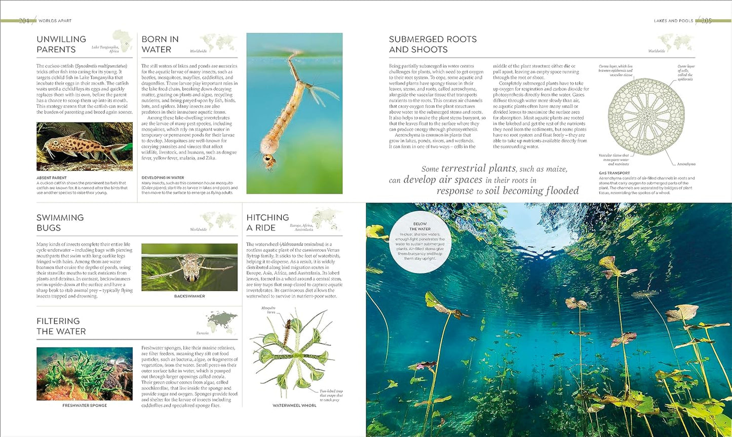 Habitats: Discover Earth's Precious Wild Places (Hardback)