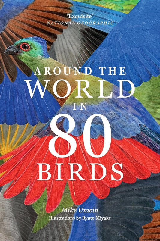 Around the World in 80 Birds (Paperback)