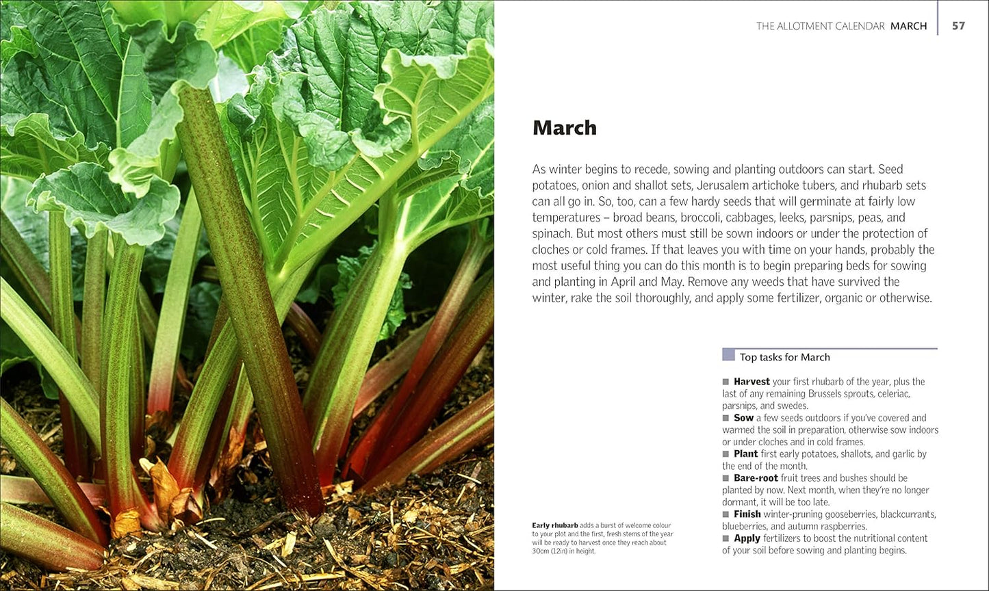 Allotment Month By Month: Grow your Own Fruit and Vegetables, Know What to do When (Hardback)
