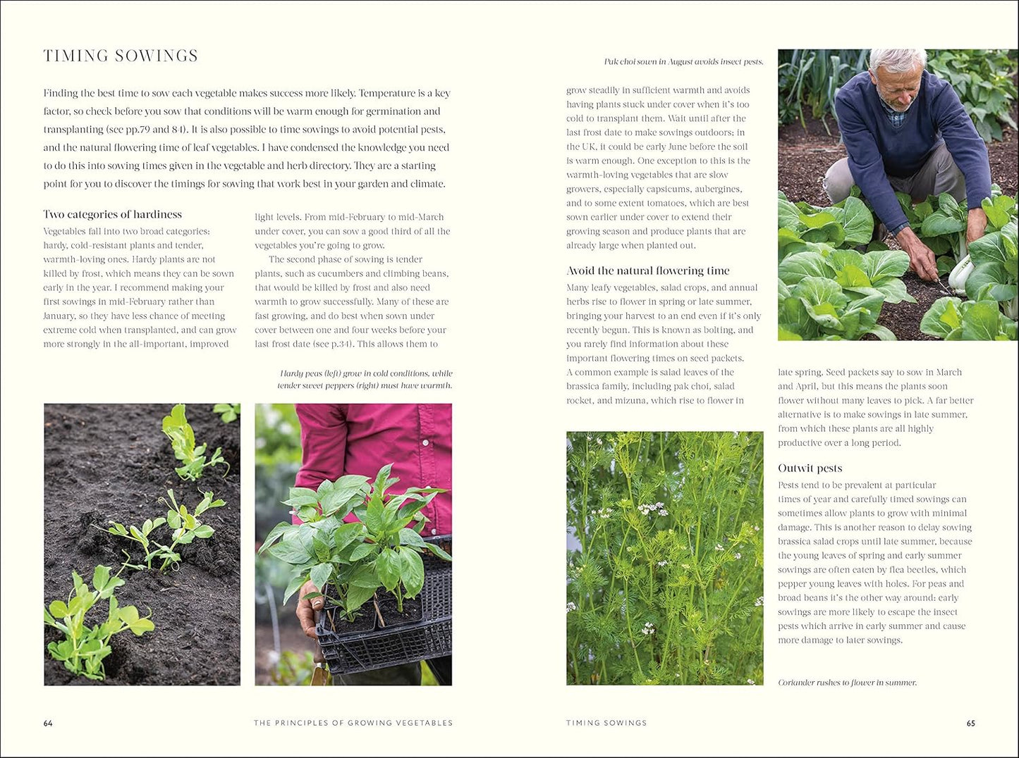 No Dig: Nurture Your Soil to Grow Better Veg with Less Effort (Hardback)