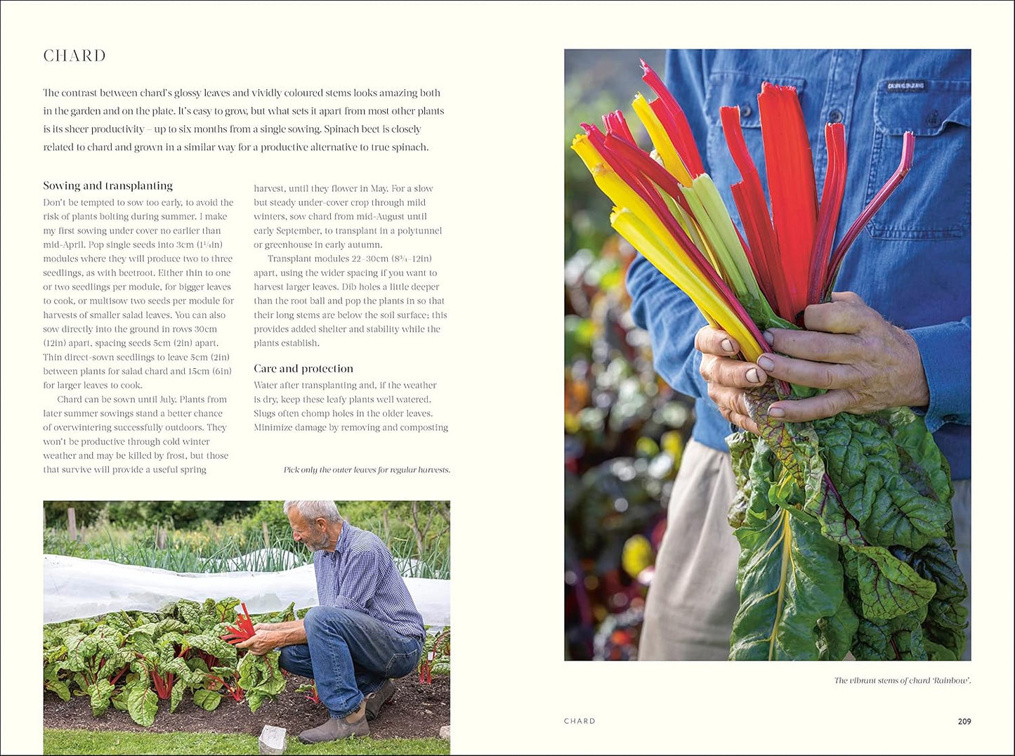 No Dig: Nurture Your Soil to Grow Better Veg with Less Effort (Hardback)