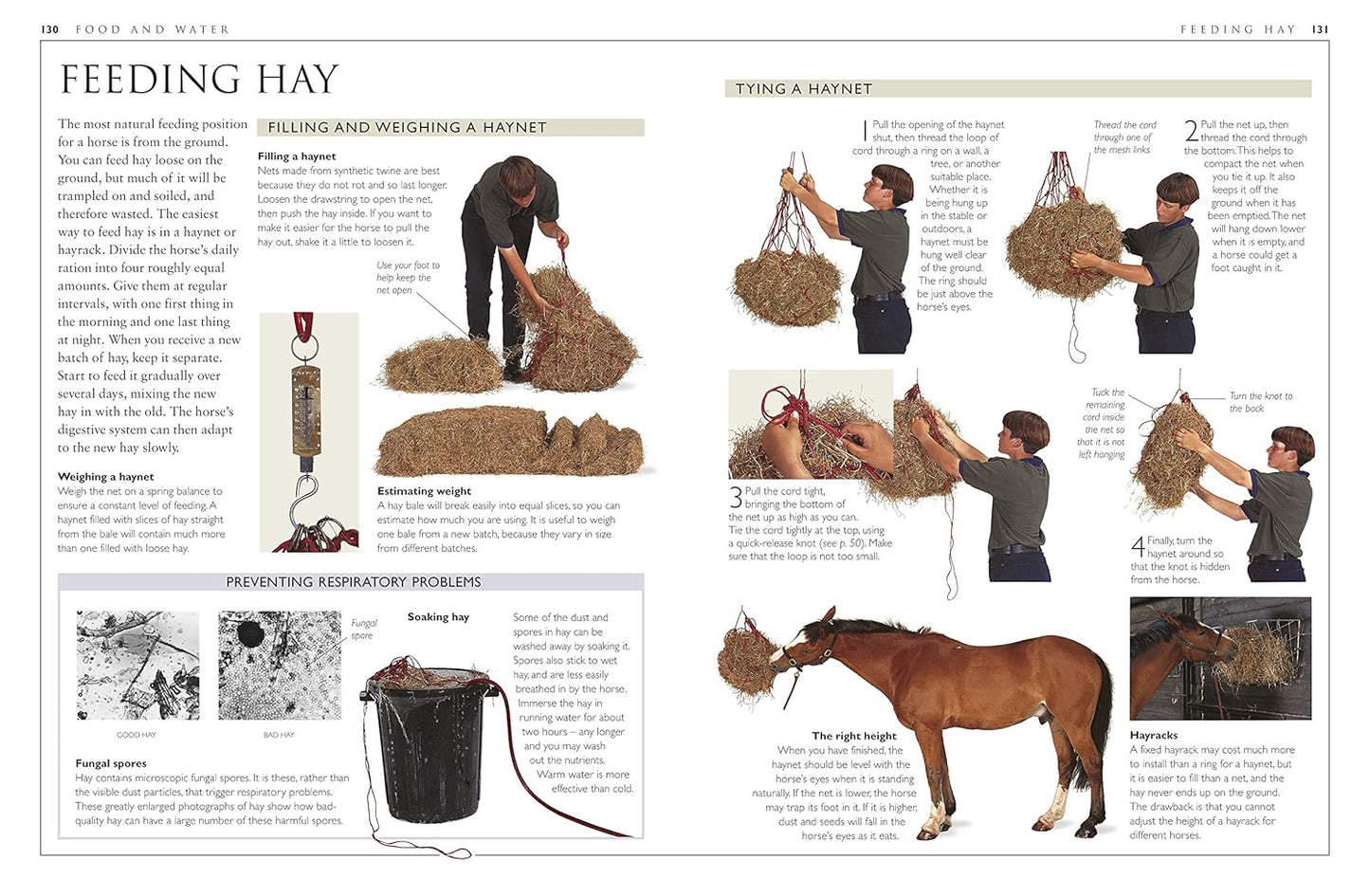 Complete Horse Care Manual - DK Practical Pet Guides (Hardback)