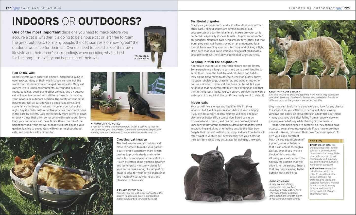 The Complete Cat Breed Book: Choose the Perfect Cat for You - DK Pet Breed Guides (Hardback)