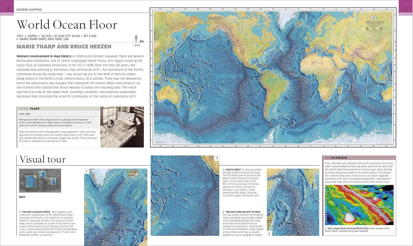 Great Maps: The World's Masterpieces Explored and Explained - DK History Changers (Hardback)