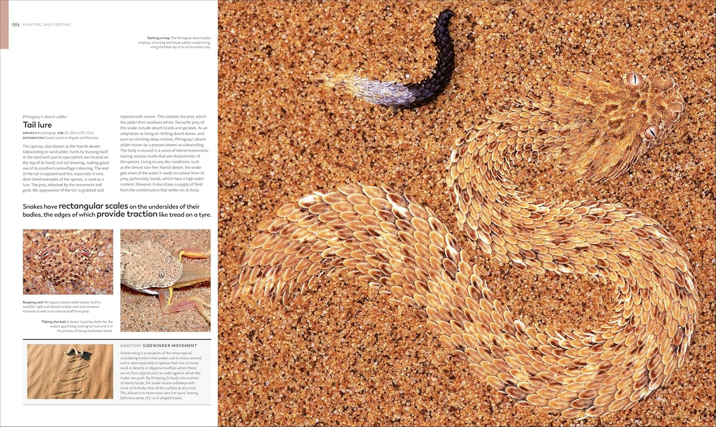 Animal Behaviour: Stories of Instinct, Intelligence and Adaptation - DK Definitive Visual Encyclopedias (Hardback)