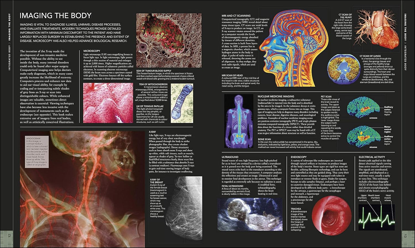 The Human Body Book - DK Human Body Guides (Hardback)