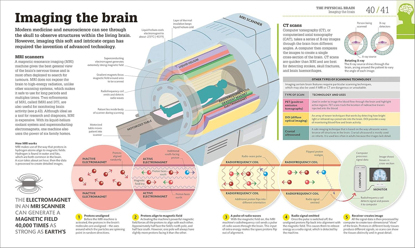 How the Brain Works: The Facts Visually Explained - DK How Stuff Works (Hardback)