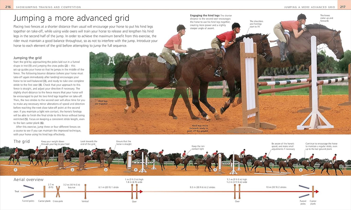 Complete Horse Riding Manual - DK Complete Manuals (Hardback)